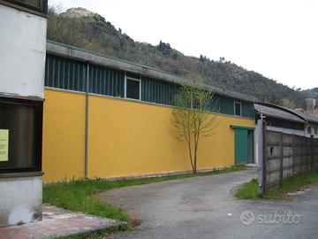 Magazzino anche per attività artigianale