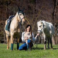 Splendida cavalla e puledro palomino