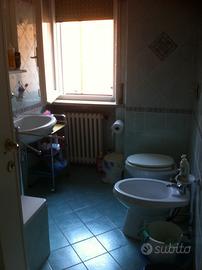 Stanza singola in appartamento condiviso