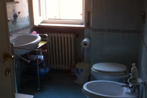 Stanza singola in appartamento condiviso