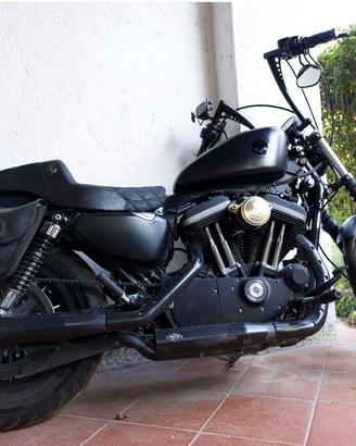 Harley davidson 883