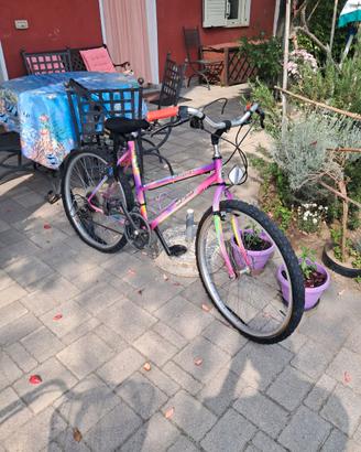 Biciclette  usate da donna