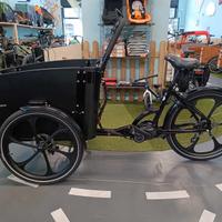 Cargobike Svedese Mod. Delight