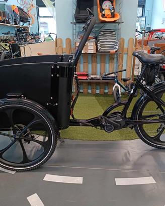 Cargobike Svedese Mod. Delight