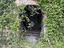 Immagine 24