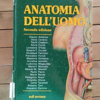 Anatomia dell'uomo 