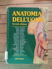 Anatomia dell'uomo 