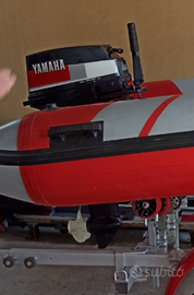 Tender con 15 cv e carrello