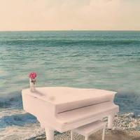Musica