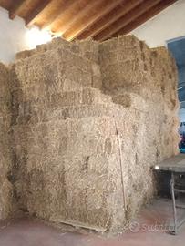 ballette di paglia e fieno 