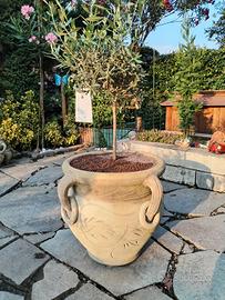 composizione vaso da giardino in terracotta 
