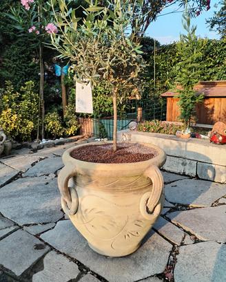 composizione vaso da giardino in terracotta 