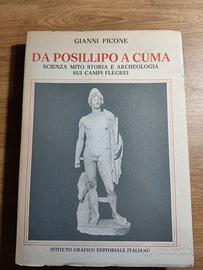 Da Posillipo a Cuma - Gianni Picone