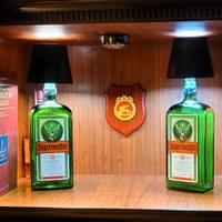Coppia Lampade da tavolo a bottiglia