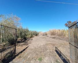 Terreno Agricolo di 13.500 Belpasso - Motta Sant'A