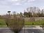 Immagine 26