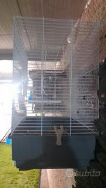 gabbia x uccelli