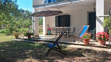 Nel Cilento ad Ascea, casa con giardino e bar