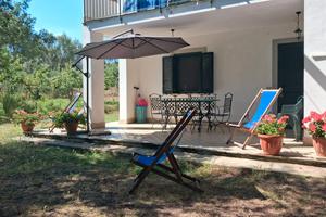 Nel Cilento ad Ascea, casa con giardino e bar