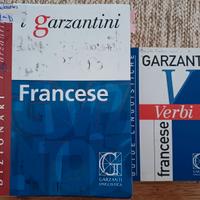 Dizionario francese Garzanti + libro verbi