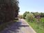 Immagine 20