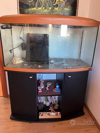 Acquario 300 litri