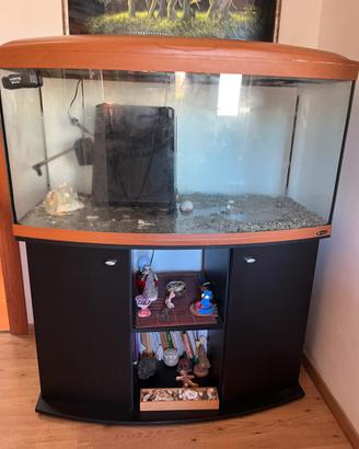 Acquario 300 litri