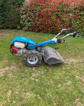 Motocoltivatore bertolini