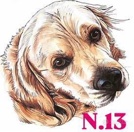 Stampa di ritratti di cani ad acquerello