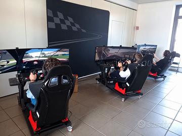 Simulatore di guida professionale usato