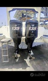 Mercury optimax 135 2t