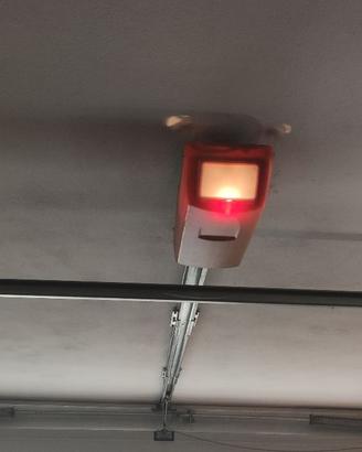 Motorizzazioni Came con telecomando per portoni