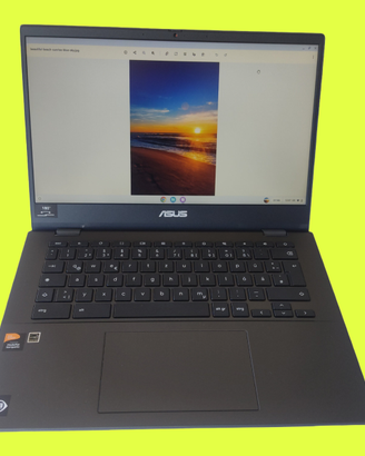 Asus CM1402CMA-EK004  Chromebook nuovo