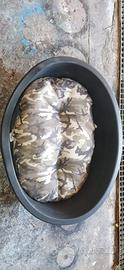 Lettino e cuscino per cani e gatti 