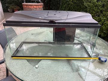 Acquario per tartarughe d’acqua