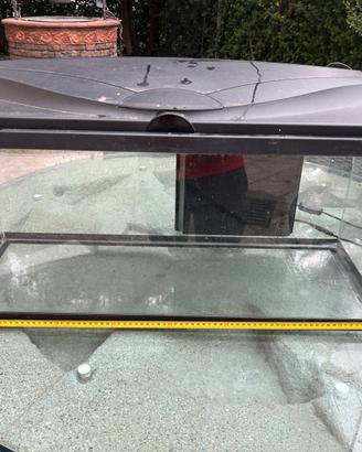 Acquario per tartarughe d’acqua