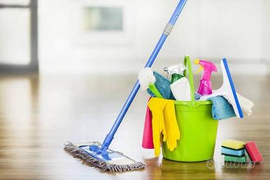Pulizie domestiche