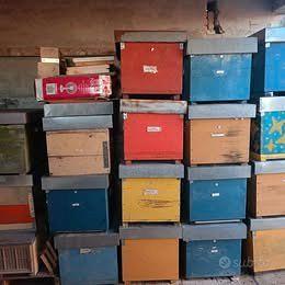 Arnie e cassettini di polistirolo usati poco