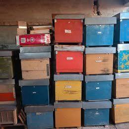 Arnie e cassettini di polistirolo usati poco