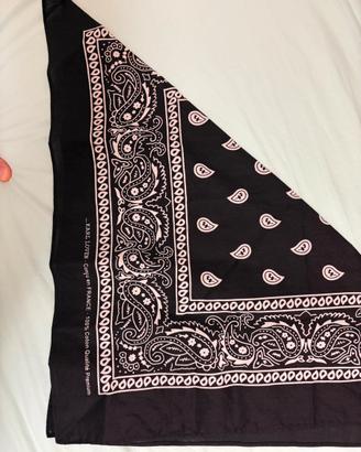 Bandana Harley Davidson by Karl Loven