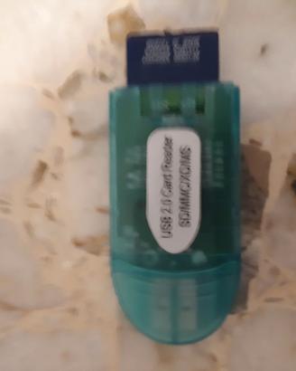 USB 2.0 Card reader con scheda con 128 mb