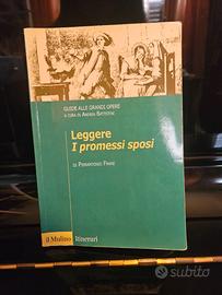 Libro 'leggere i promessi sposi "