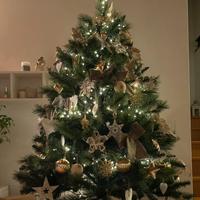 Albero di natale