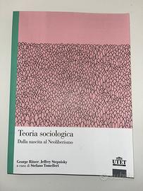 Teoria sociologica, Ritzer, Stepnisky