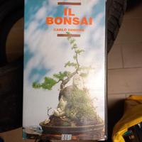 videocassetta vhs