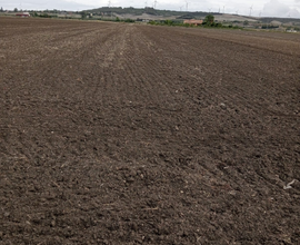 Terrebo agricolo 3 ettari prezzo trattabile