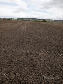 Terrebo agricolo 3 ettari prezzo trattabile