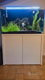 acquario
