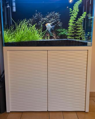 acquario