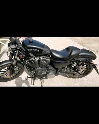 HARLEY DAVIDSON 883 XL N